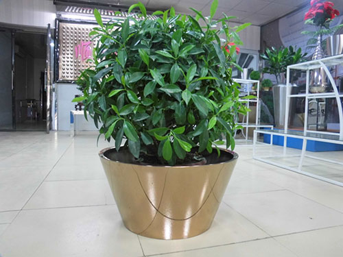 廣東汕頭不銹鋼花盆哪家做的好?